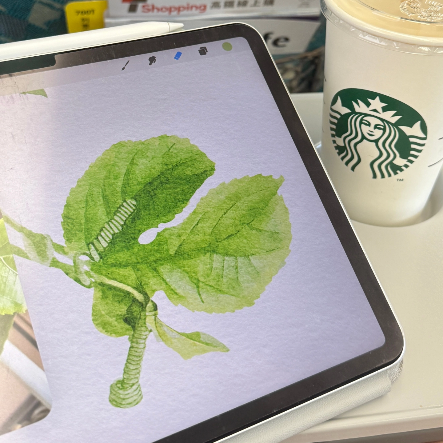 到哪裡都能畫|iPad 植物電繪