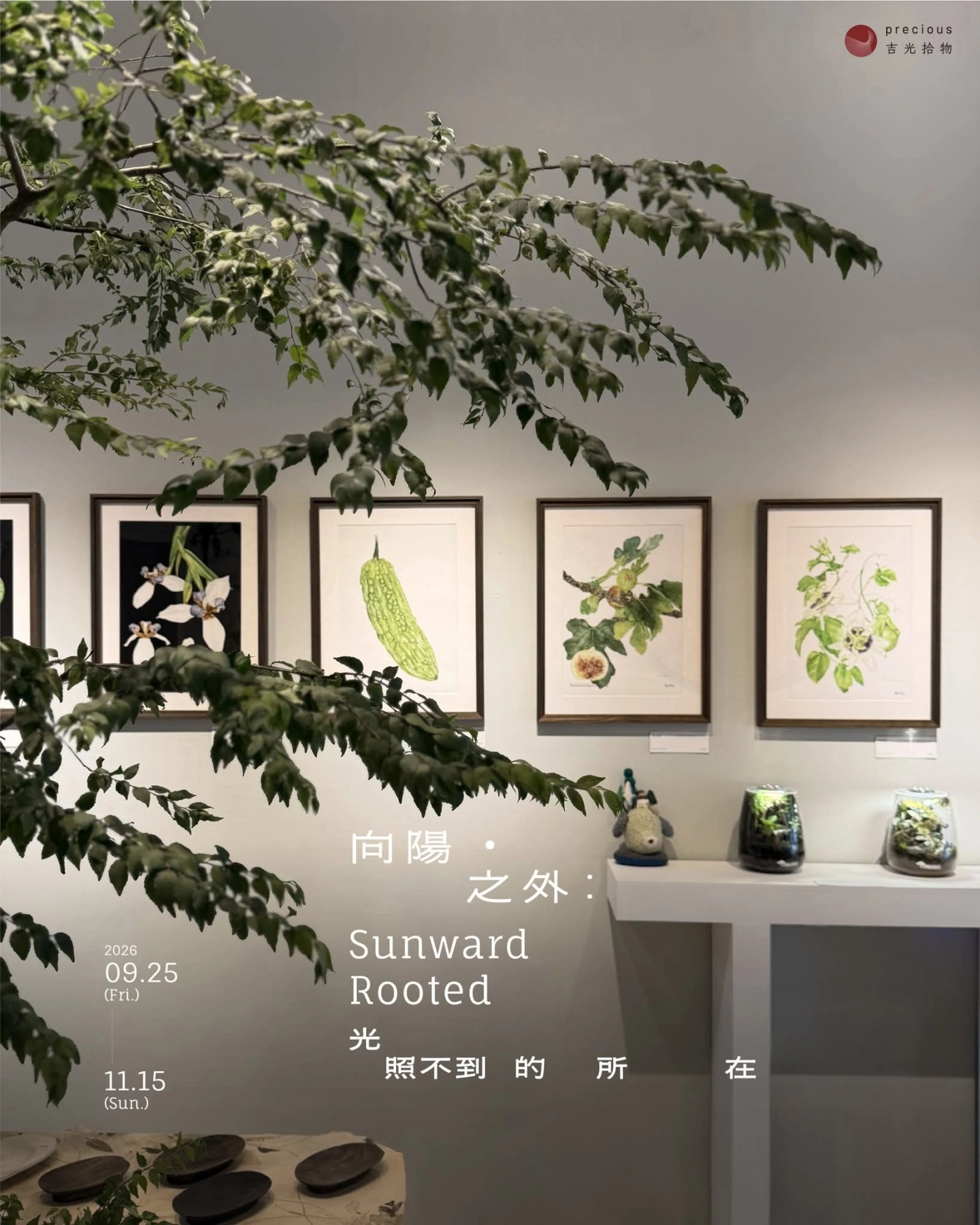 走進光影之間——花開植感美學實驗室首次聯展「向陽。之外」