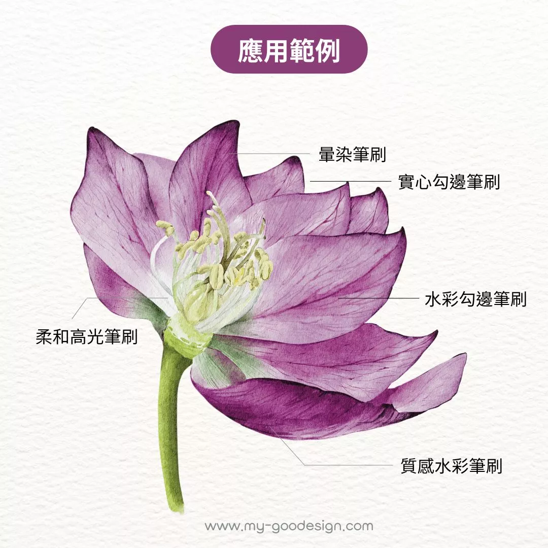 植物水彩電繪筆刷套組