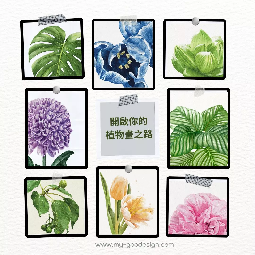 植物水彩電繪筆刷套組